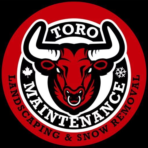 Toro Maintenance